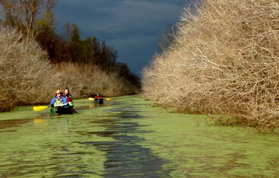 atchafalaya canoeists